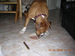 gal/Daisy/_thb_Daisy 08.jpg
